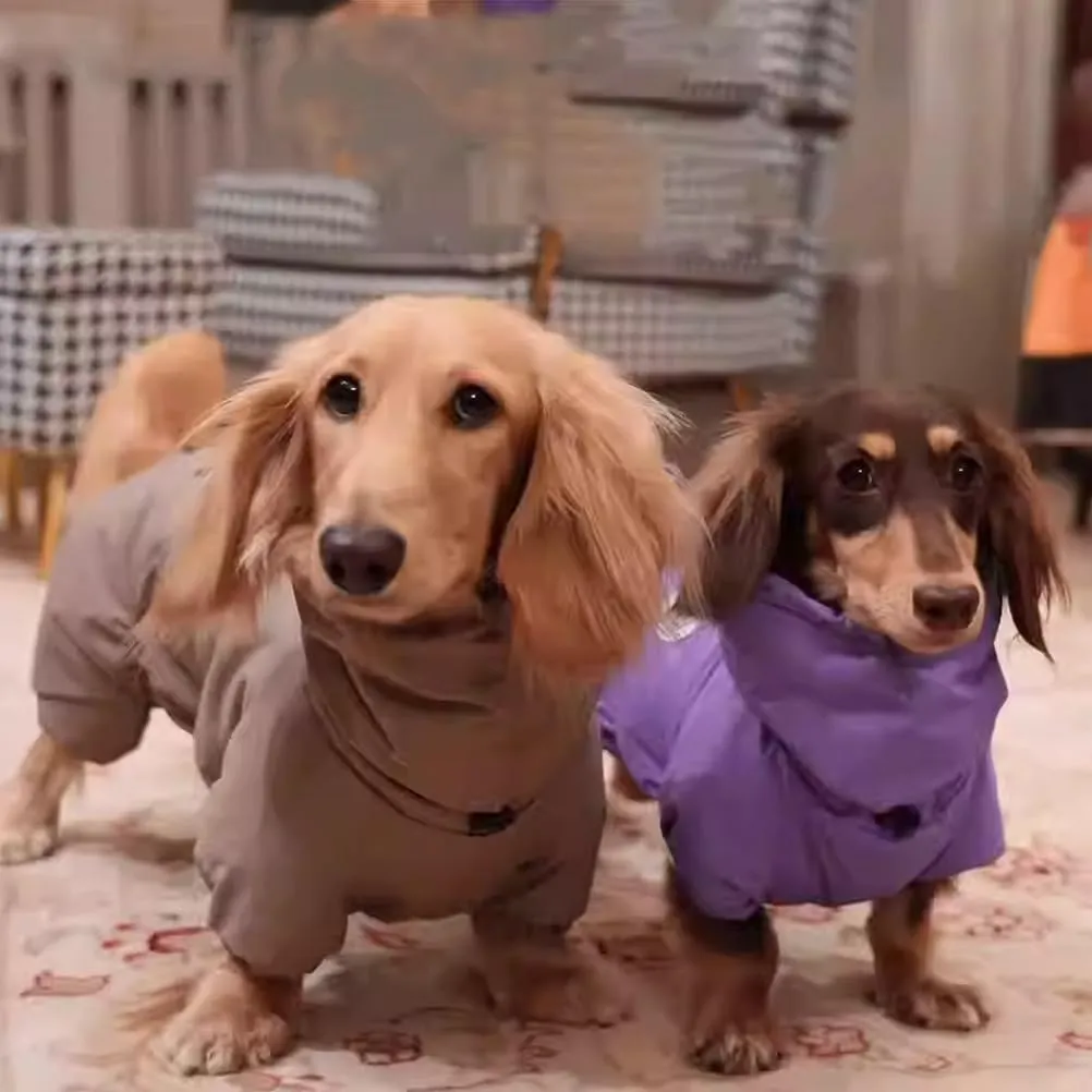 YPDOPORA Cappotto Invernale per Bassotti, Cappotto Caldo per Cani per Il Freddo, Giacca Calda Antivento A 4 Zampe per Cani con Cerniera, Giacca Morbida A Collo Alto per Cani di Piccola Taglia,Viola,M - immagine 4
