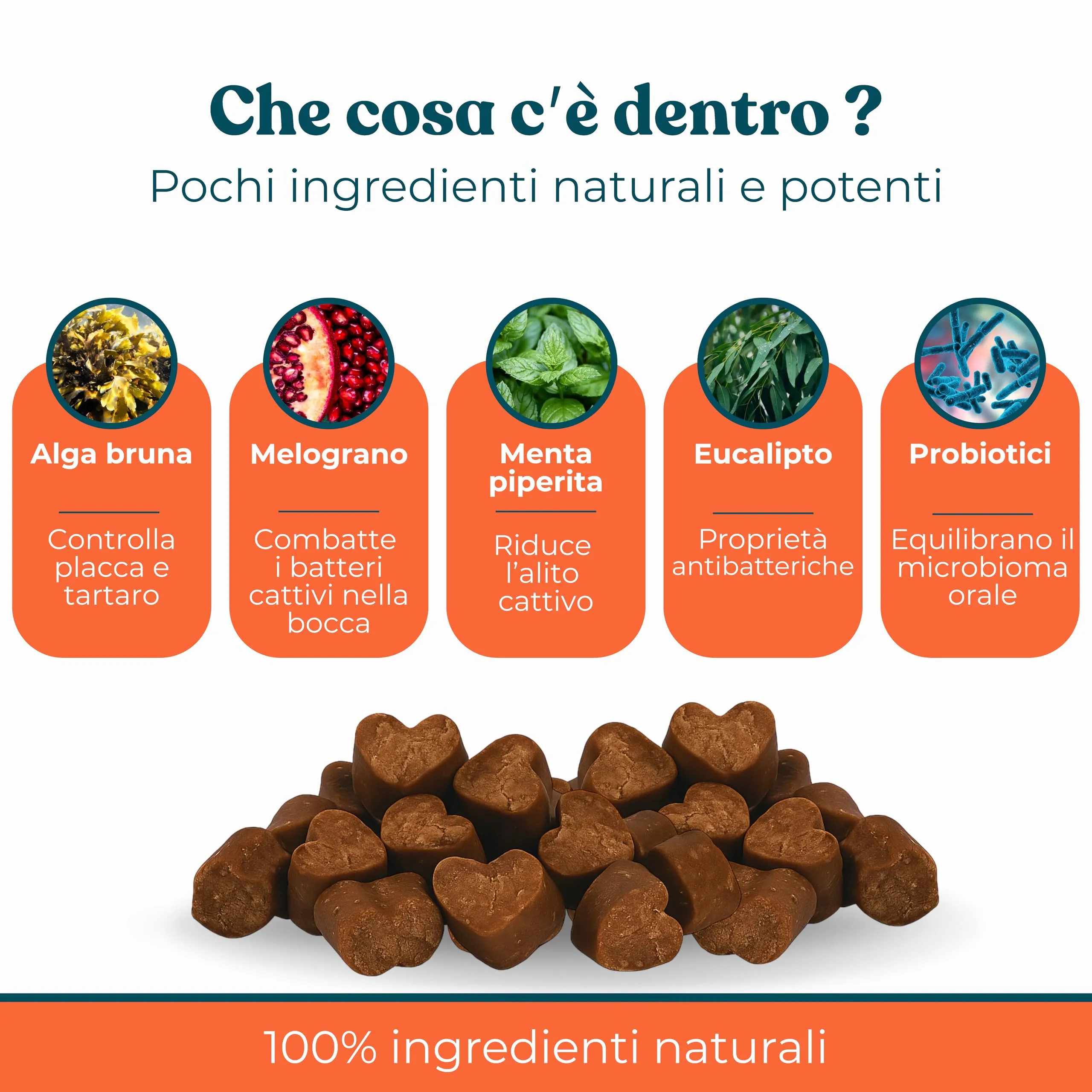 INTEGROPET - Integratore per Pulizia Denti e Gengive Cani Gusto Manzo - Igiene Orale Cane contro Placca, Tartaro e Alito Cattivo - immagine 4