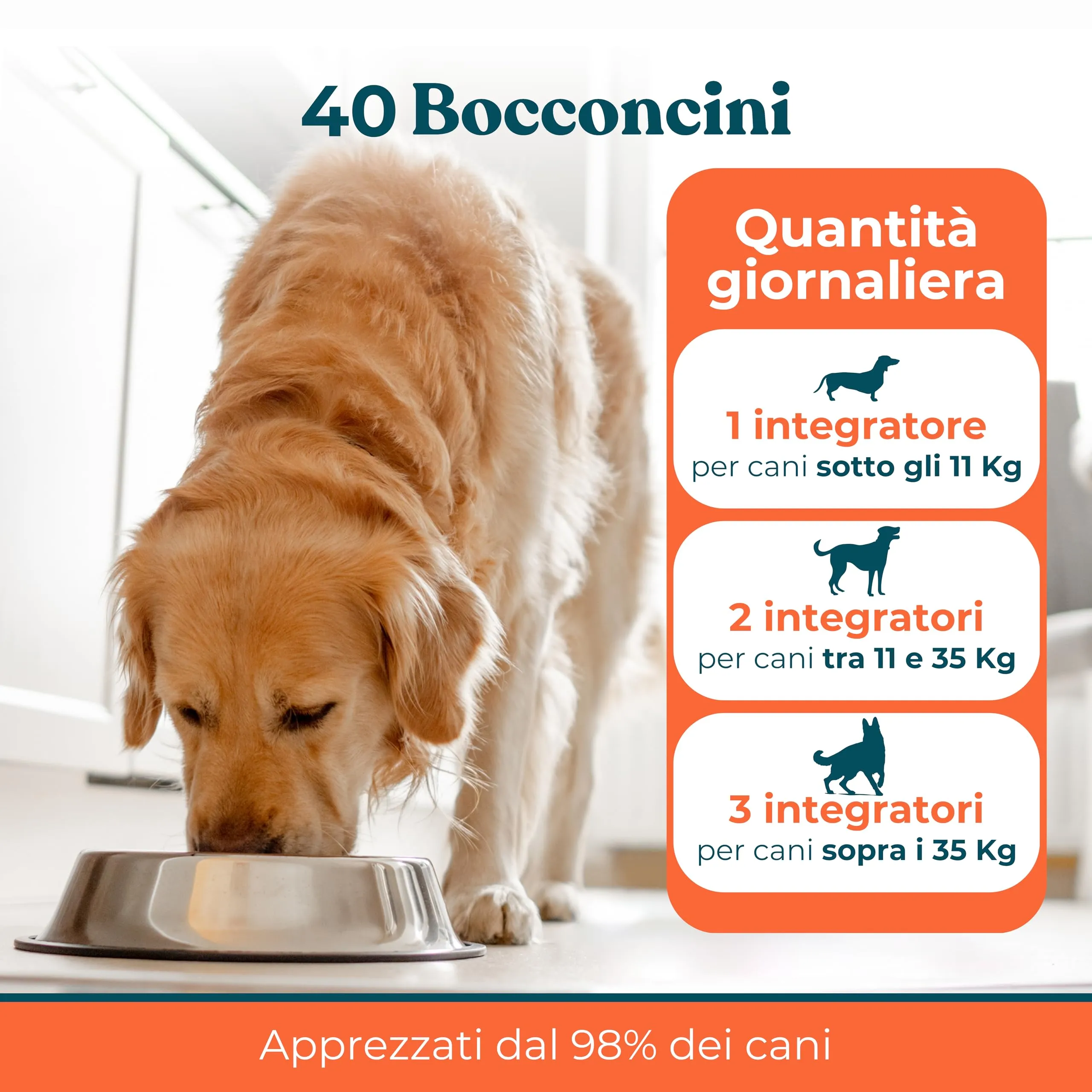 INTEGROPET - Integratore per Pulizia Denti e Gengive Cani Gusto Manzo - Igiene Orale Cane contro Placca, Tartaro e Alito Cattivo - immagine 5