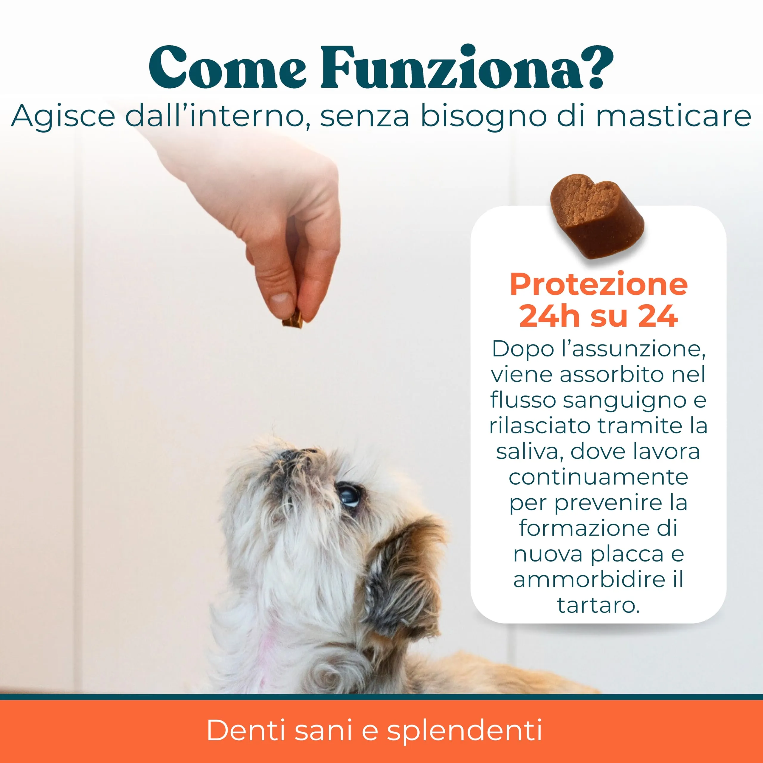 INTEGROPET - Integratore per Pulizia Denti e Gengive Cani Gusto Manzo - Igiene Orale Cane contro Placca, Tartaro e Alito Cattivo - immagine 6