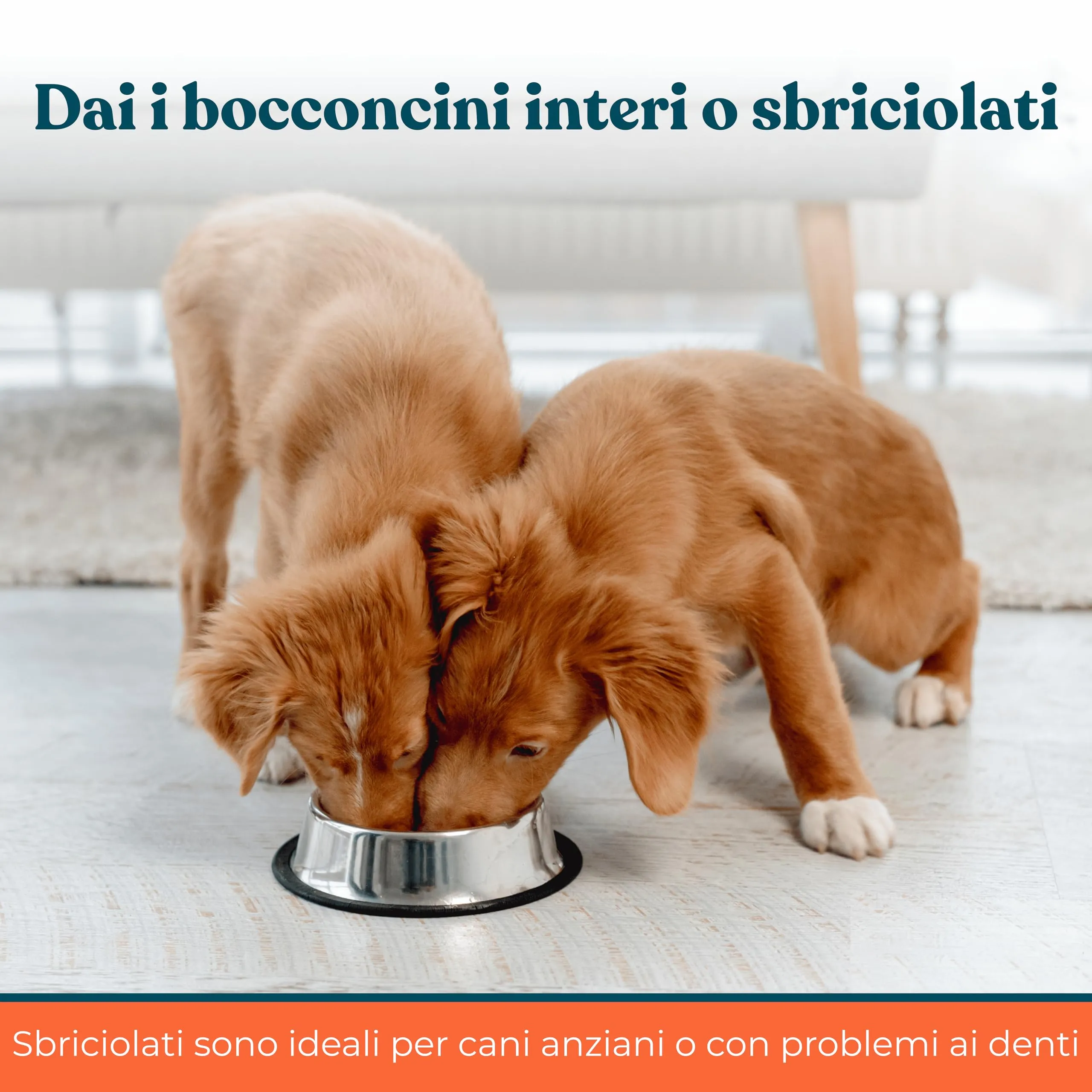 INTEGROPET - Integratore per Pulizia Denti e Gengive Cani Gusto Manzo - Igiene Orale Cane contro Placca, Tartaro e Alito Cattivo - immagine 8