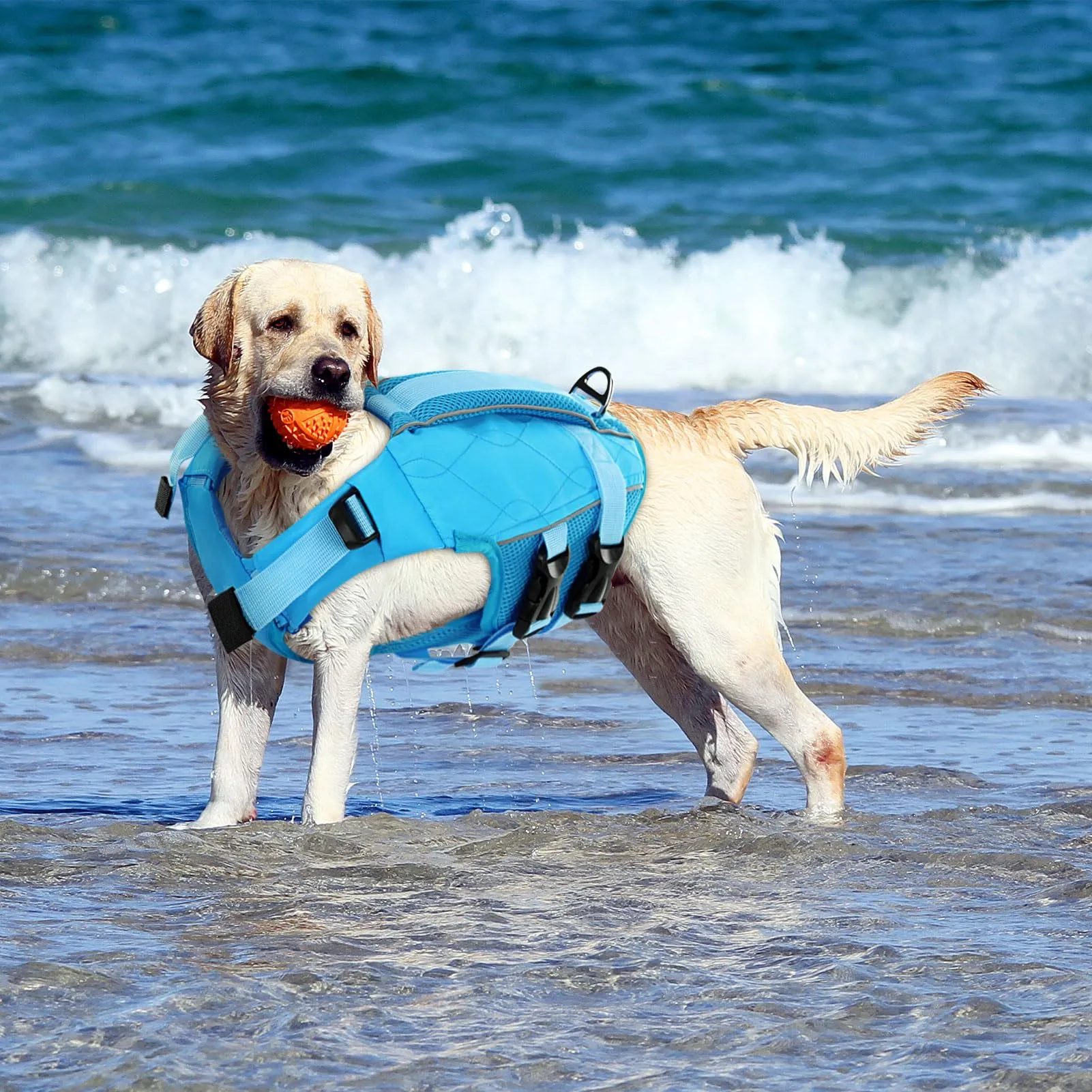 KONVINIT Giubbotto di Salvataggio per Cani, Giubbotto Salvagente Cane Taglia Regolabile con Maniglia e Strisce Riflettenti - immagine 8
