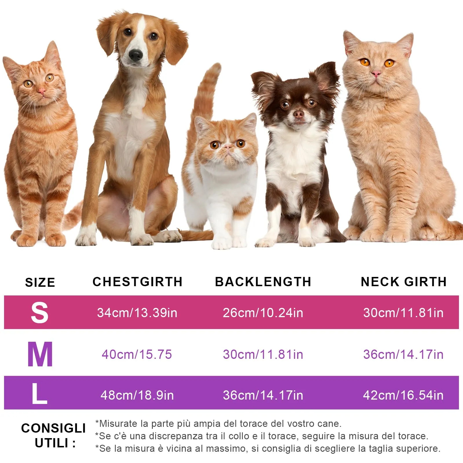 CUEMOON 2 Maglioncino per Cani e Gatti di Piccola Taglia, Gilet per Cani in Pile Elasticizzato Viola Rosa, M - immagine 3