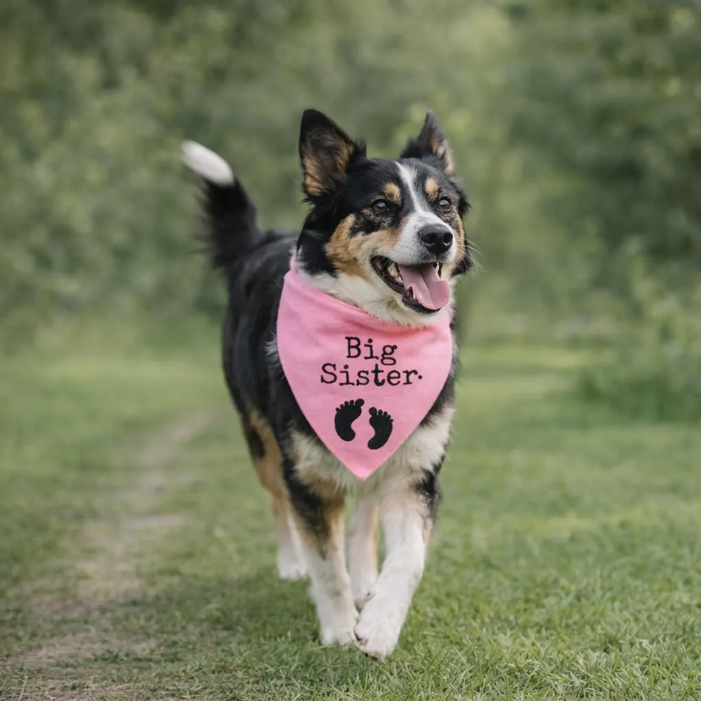 Bandana Personalizzata per Cane con Nome – Foulard per Cani Personalizzabile con Testo e Simbolo – Lavabile – Prodotto e Personalizzato in Europa (Baby Shower, S) - immagine 1