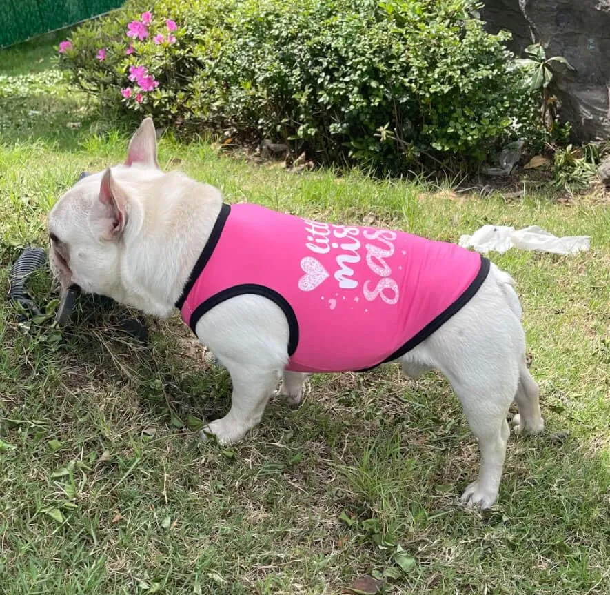 Izefia 4 Pezzi Magliette per Cani 4pz Traspirante Amore Mamma PapÀ Ragazzo Ragazza Canotta Estiva Fresca Maglietta per Piccolo Cane Cucciolo Gatto Medio - immagine 3