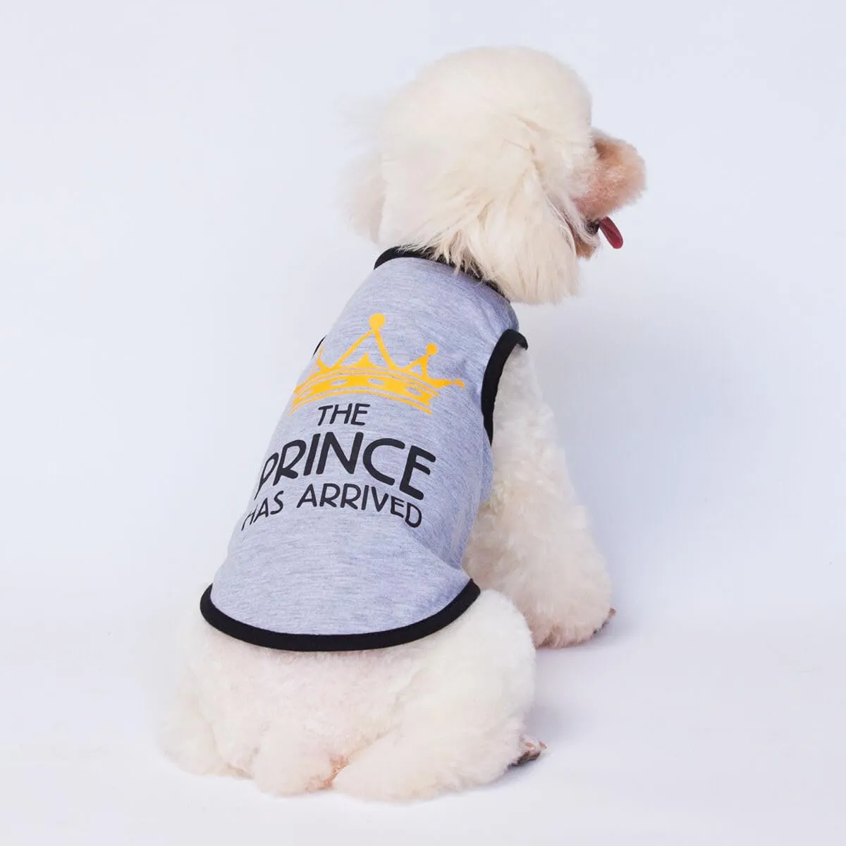 Izefia Magliette per Cani Vestiti Traspiranti Principessa Compleanno Ragazzo Ragazza Canotta Estiva Fresca Maglietta per Piccolo Cane Cucciolo Gatto Medio - immagine 3