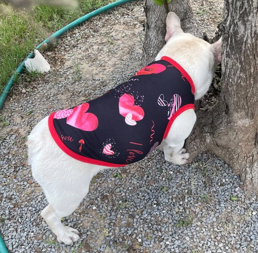 Izefia 4 Pezzi Magliette per Cani 4pz Traspirante Amore Mamma PapÀ Ragazzo Ragazza Canotta Estiva Fresca Maglietta per Piccolo Cane Cucciolo Gatto Medio - immagine 6