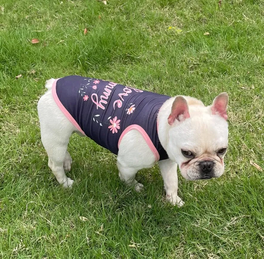 Izefia 4 Pezzi Magliette per Cani 4pz Traspirante Amore Mamma PapÀ Ragazzo Ragazza Canotta Estiva Fresca Maglietta per Piccolo Cane Cucciolo Gatto Medio - immagine 4