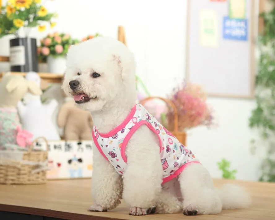 Izefia Magliette per Cani Vestiti Traspiranti Principessa Compleanno Ragazzo Ragazza Canotta Estiva Fresca Maglietta per Piccolo Cane Cucciolo Gatto Medio - immagine 5