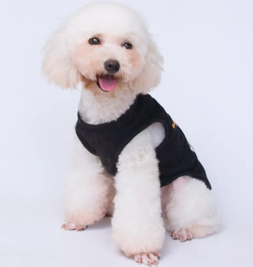 Izefia Magliette per Cani Vestiti Traspiranti Principessa Compleanno Ragazzo Ragazza Canotta Estiva Fresca Maglietta per Piccolo Cane Cucciolo Gatto Medio - immagine 4