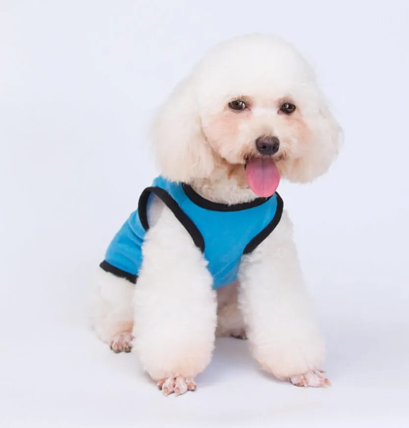 Izefia Magliette per Cani Vestiti Traspiranti Principessa Compleanno Ragazzo Ragazza Canotta Estiva Fresca Maglietta per Piccolo Cane Cucciolo Gatto Medio - immagine 4