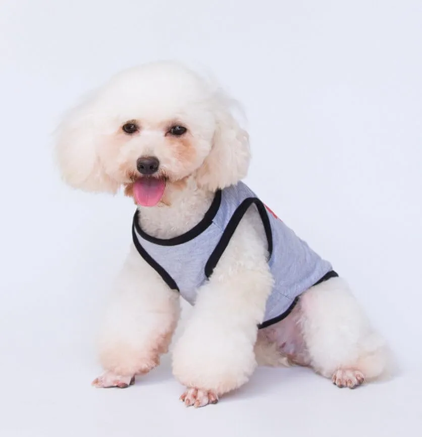 Izefia Magliette per Cani Vestiti Traspiranti Principessa Compleanno Ragazzo Ragazza Canotta Estiva Fresca Maglietta per Piccolo Cane Cucciolo Gatto Medio - immagine 4