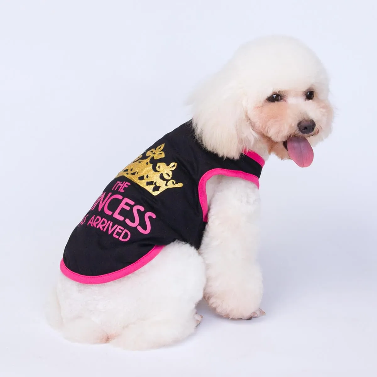 Izefia Magliette per Cani Vestiti Traspiranti Principessa Compleanno Ragazzo Ragazza Canotta Estiva Fresca Maglietta per Piccolo Cane Cucciolo Gatto Medio - immagine 3