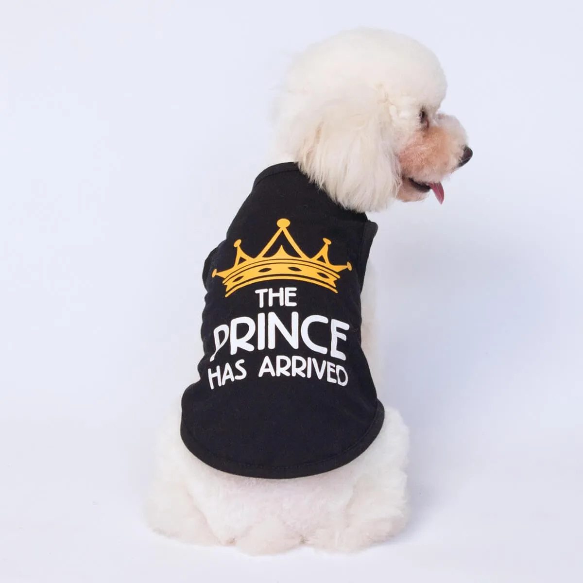 Izefia Magliette per Cani Vestiti Traspiranti Principessa Compleanno Ragazzo Ragazza Canotta Estiva Fresca Maglietta per Piccolo Cane Cucciolo Gatto Medio - immagine 3