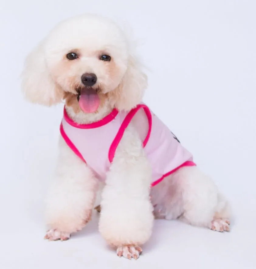 Izefia Magliette per Cani Vestiti Traspiranti Principessa Compleanno Ragazzo Ragazza Canotta Estiva Fresca Maglietta per Piccolo Cane Cucciolo Gatto Medio - immagine 4