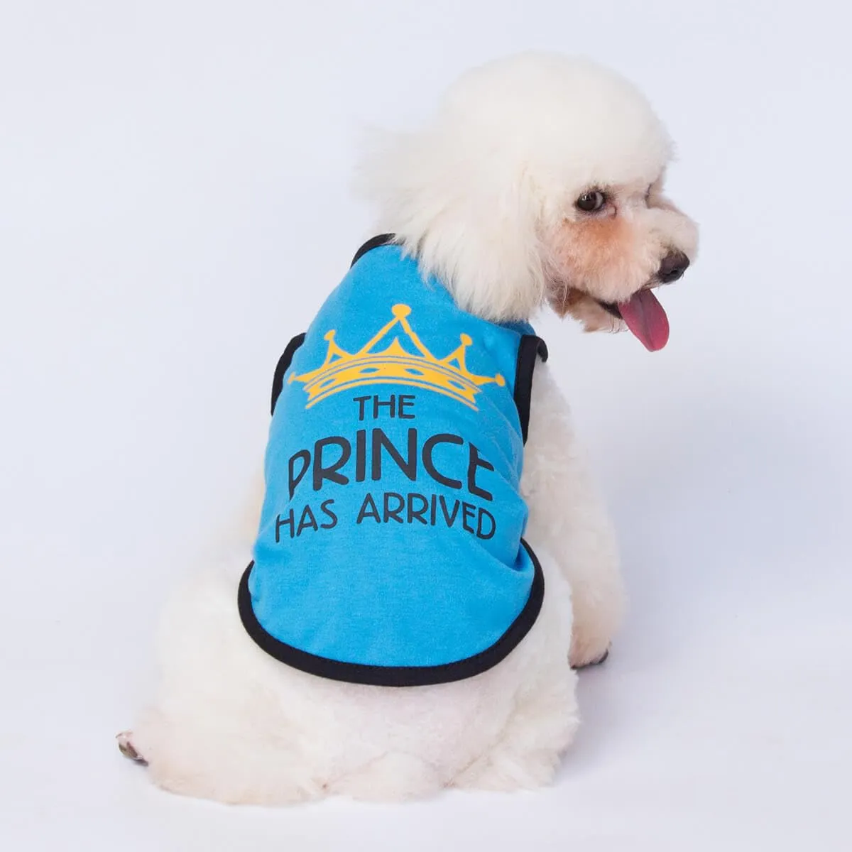 Izefia Magliette per Cani Vestiti Traspiranti Principessa Compleanno Ragazzo Ragazza Canotta Estiva Fresca Maglietta per Piccolo Cane Cucciolo Gatto Medio - immagine 3