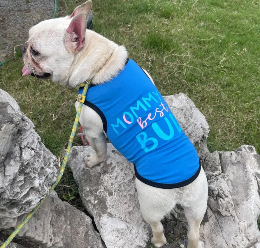 Izefia 4 Pezzi Magliette per Cani 4pz Traspirante Amore Mamma PapÀ Ragazzo Ragazza Canotta Estiva Fresca Maglietta per Piccolo Cane Cucciolo Gatto Medio - immagine 6