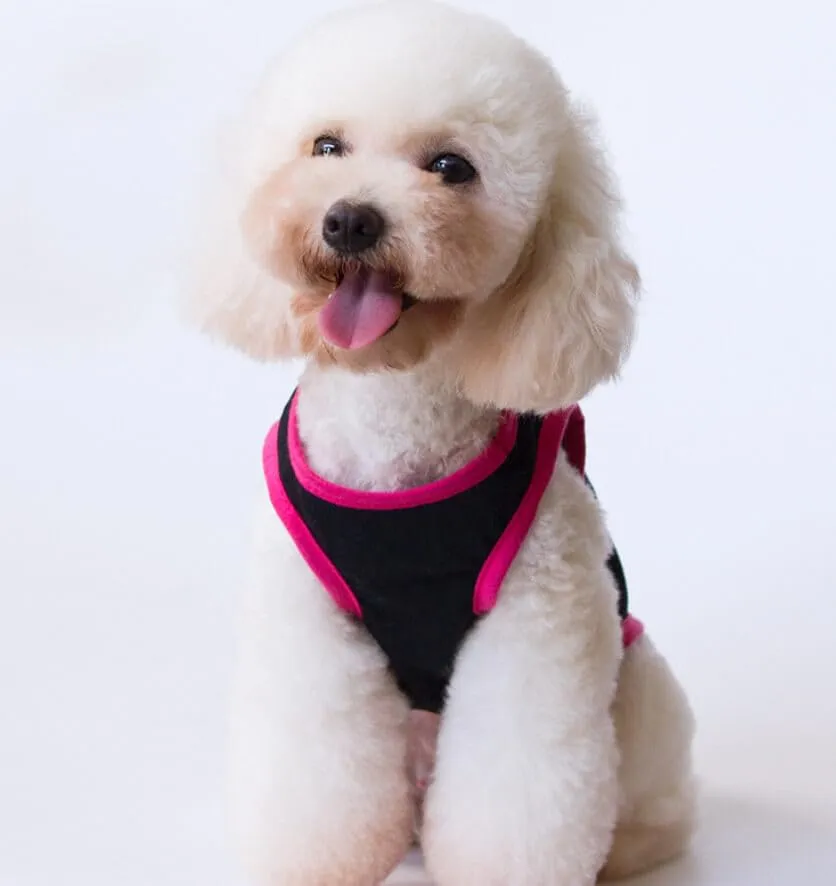 Izefia Magliette per Cani Vestiti Traspiranti Principessa Compleanno Ragazzo Ragazza Canotta Estiva Fresca Maglietta per Piccolo Cane Cucciolo Gatto Medio - immagine 4