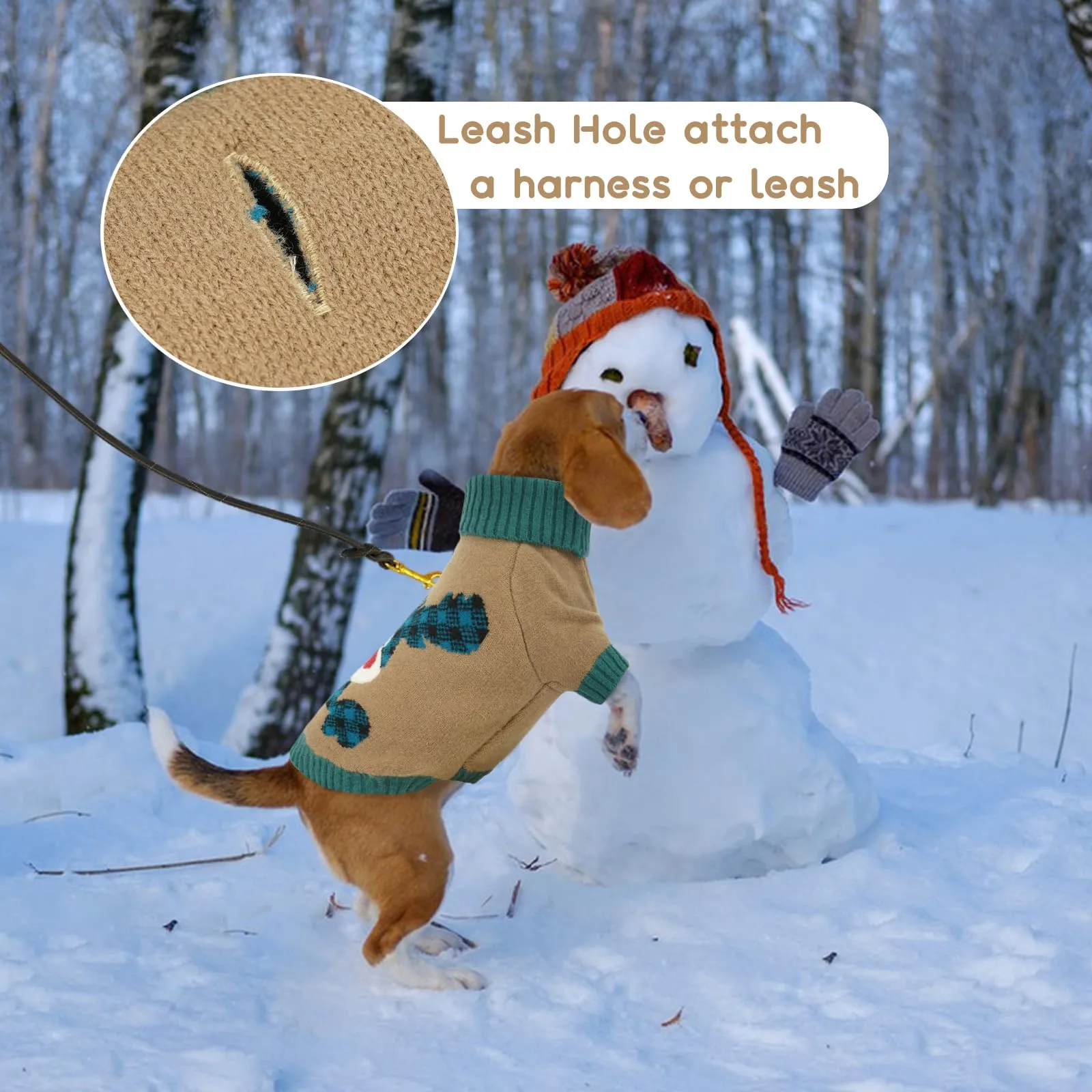 Maglione Cane Natalizio - Caldo Maglioncino con Renna, foro per guinzaglio, maglioncini per Chihuahua, Yorkshire Terrier mini, Barboncino toy, Marrone Chiaro XS - immagine 5