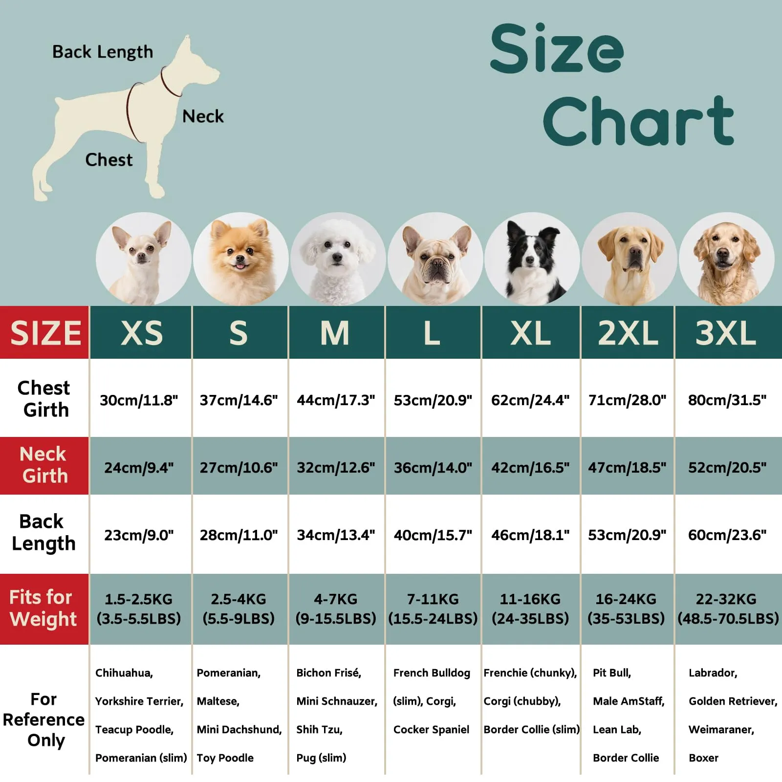 Maglione Cane Natalizio - Caldo Maglioncino con Renna, foro per guinzaglio, maglioncini per Bichon Frisé, Cavalier King Charles, Dachshund, Barboncino, Verde Scuro M - immagine 3
