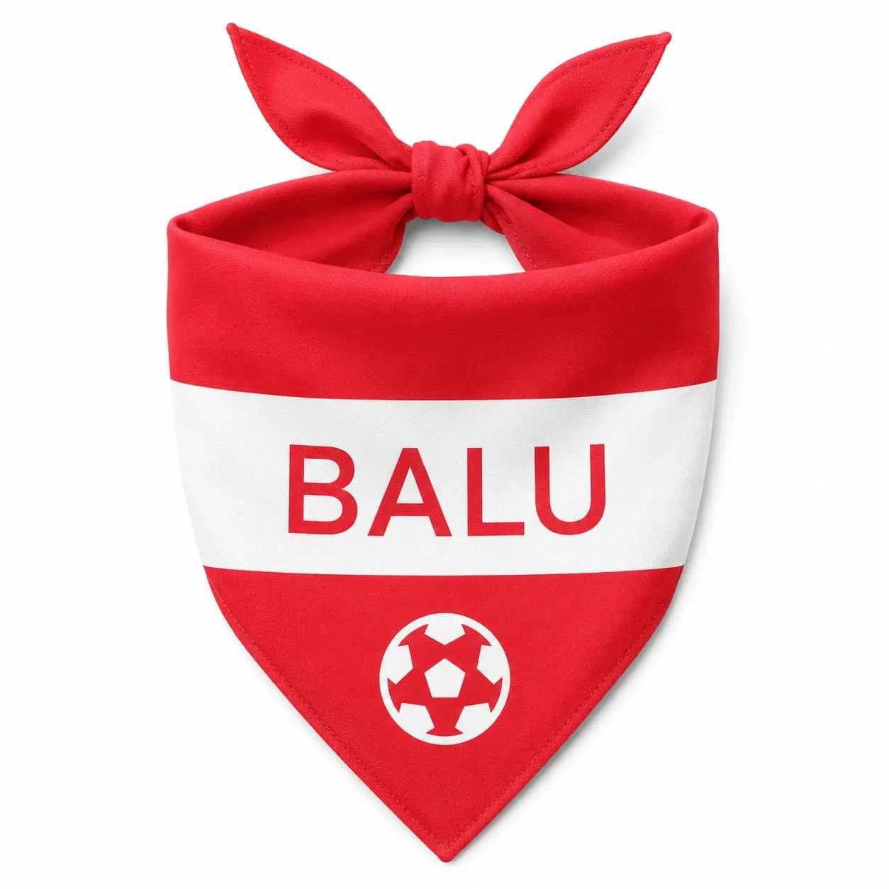 Bandana Personalizzata per Cane con Nome – Foulard per Cani Personalizzabile con Testo e Simbolo – Lavabile – Prodotto e Personalizzato in Europa (Austria, M) - immagine 1