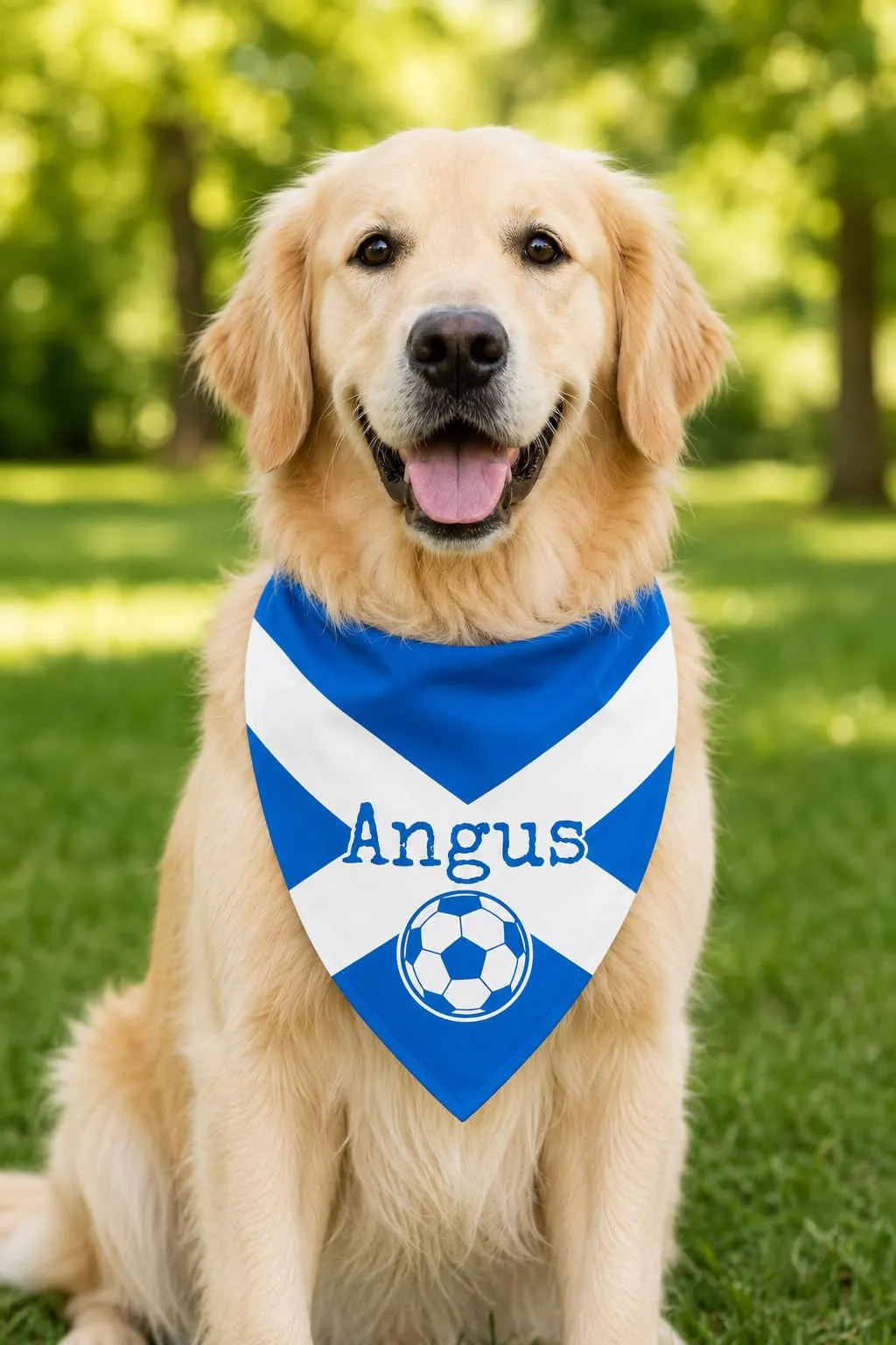 Bandana Personalizzata per Cane con Nome – Foulard per Cani Personalizzabile con Testo e Simbolo – Lavabile – Prodotto e Personalizzato in Europa (Scozia, S) - immagine 2