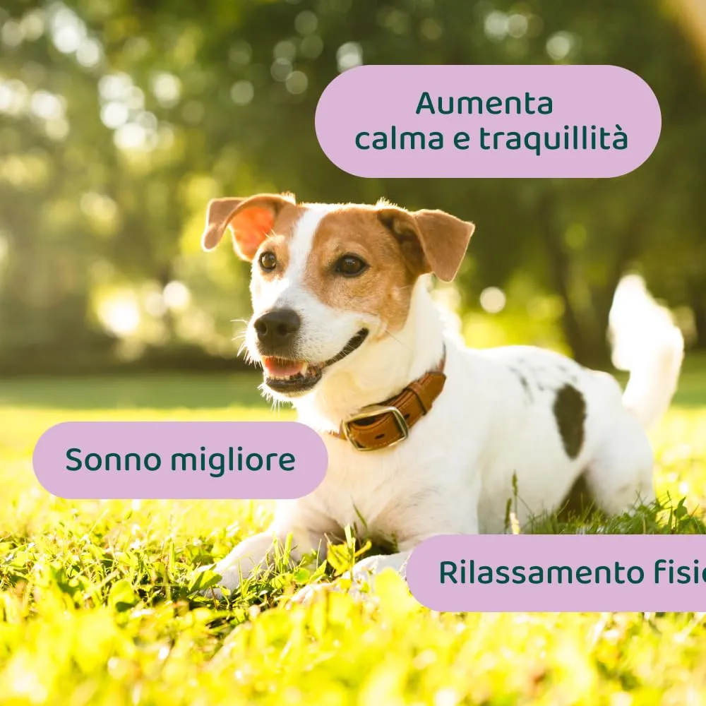 DogSuppy Ansia e Stress per Cani, 100% Naturali, 60 integratori - immagine 3