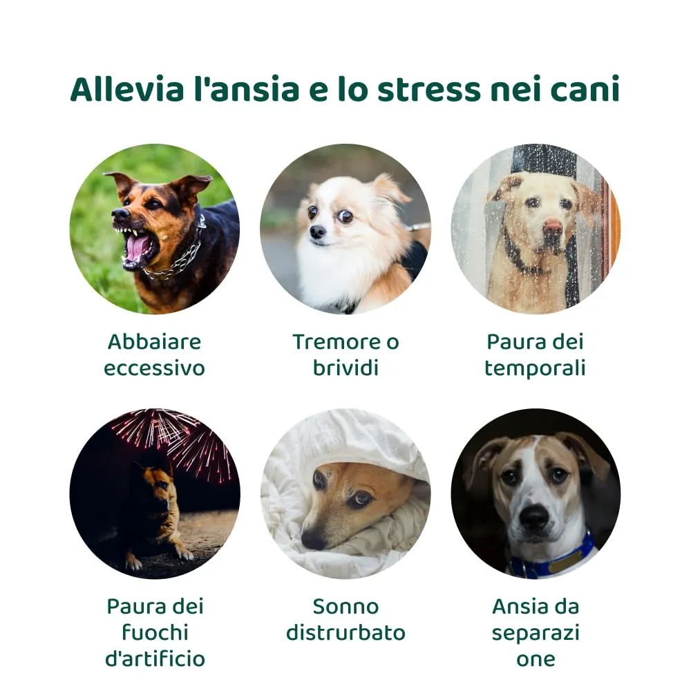 DogSuppy Ansia e Stress per Cani, 100% Naturali, 60 integratori - immagine 5