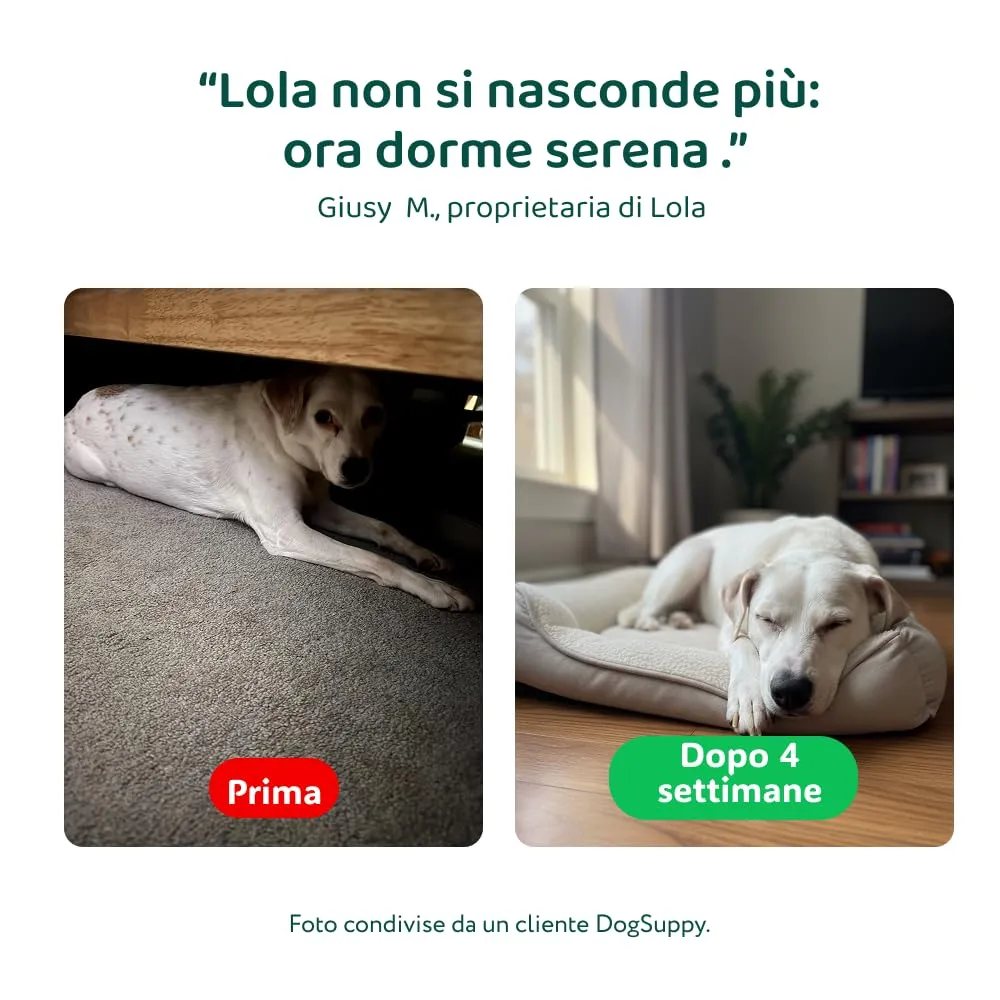 DogSuppy Ansia e Stress per Cani, 100% Naturali, 60 integratori - immagine 6