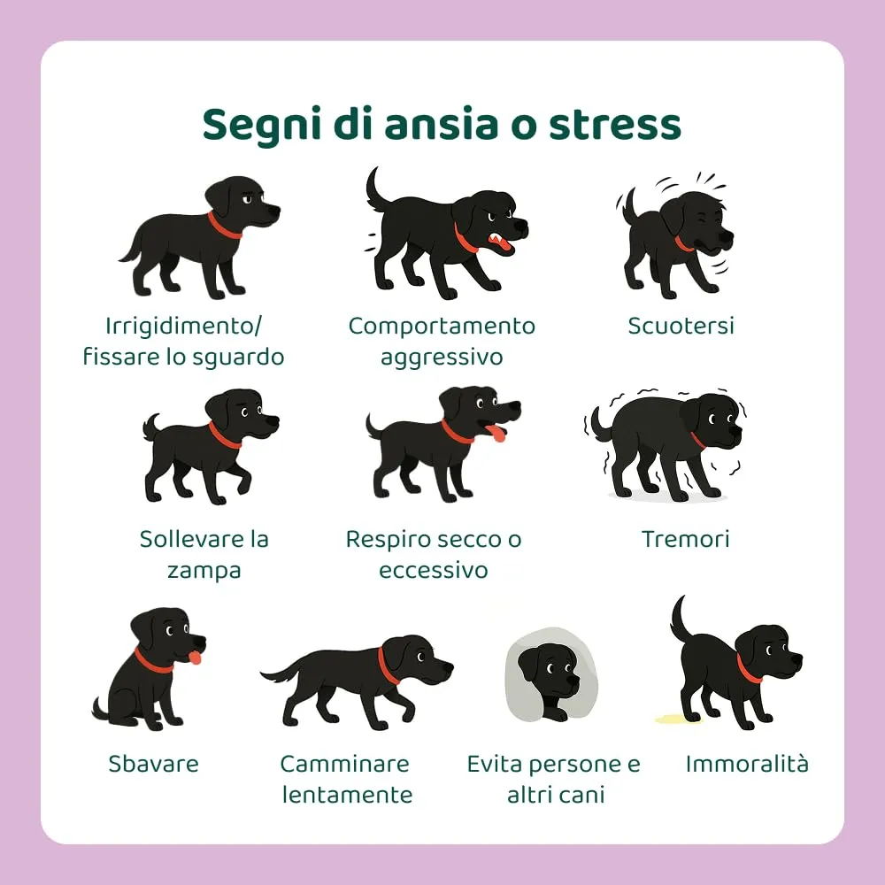 DogSuppy Ansia e Stress per Cani, 100% Naturali, 60 integratori - immagine 7