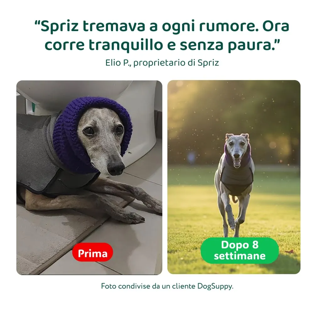 DogSuppy Ansia e Stress per Cani, 100% Naturali, 60 integratori - immagine 8