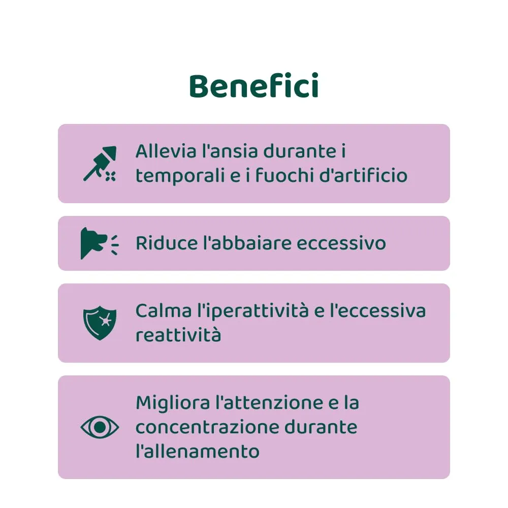 DogSuppy Ansia e Stress per Cani, 100% Naturali, 60 integratori - immagine 9