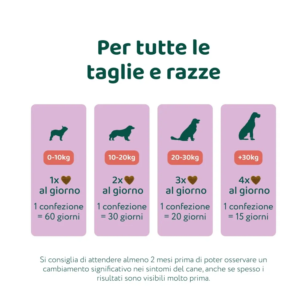 DogSuppy Ansia e Stress per Cani, 100% Naturali, 60 integratori - immagine 10