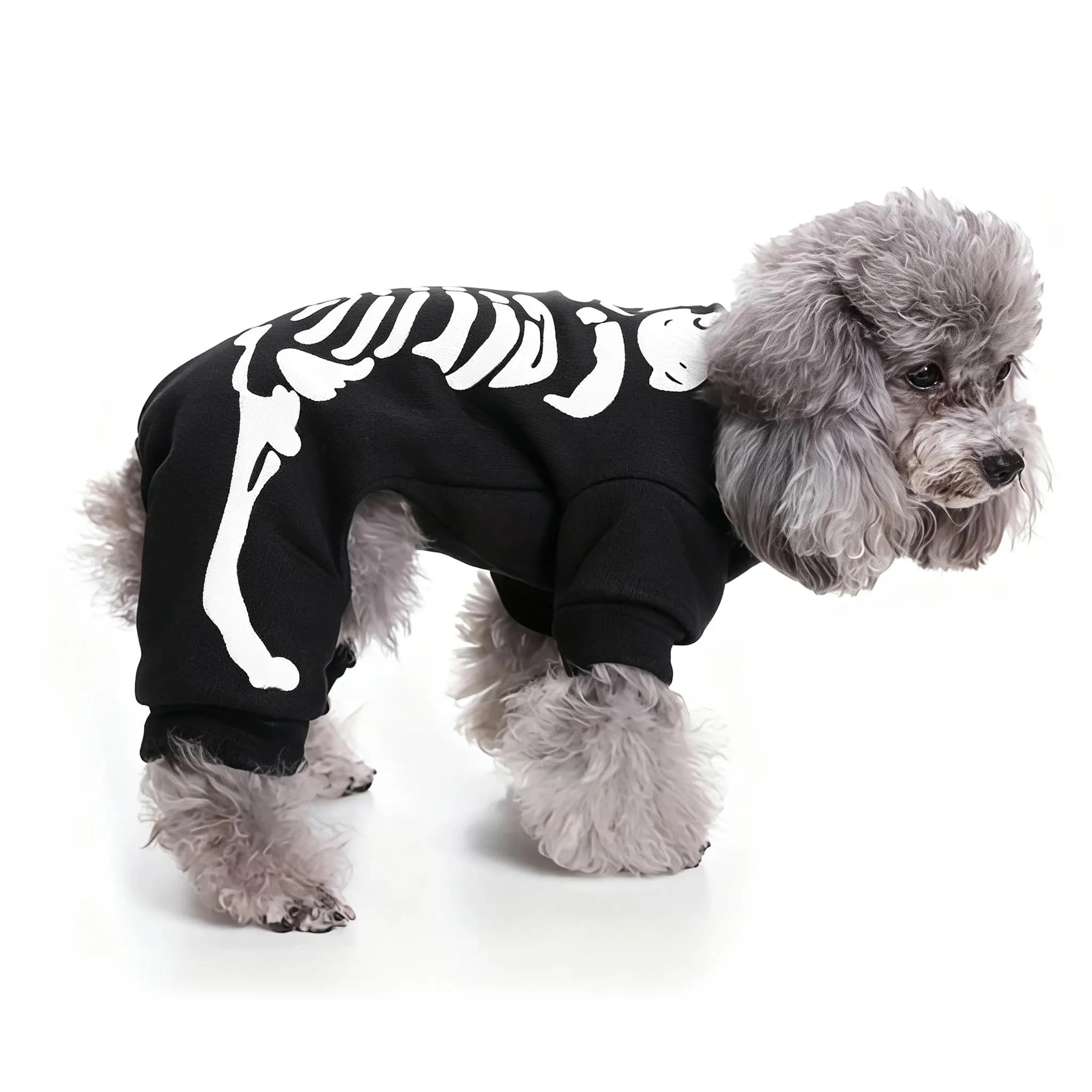 Maigllra Costume da scheletro per cani, si illumina al buio, tuta per Halloween, a 4 zampe, per cuccioli di piccola taglia e gatto, L - immagine 3
