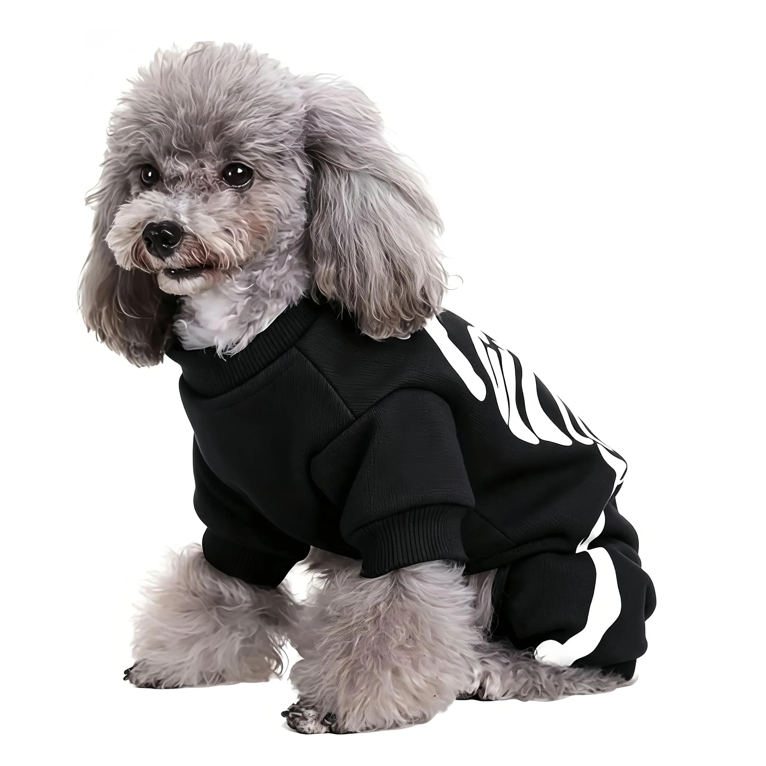 Maigllra Costume da scheletro per cane, si illumina al buio, tuta per Halloween, a 4 zampe, per cuccioli di piccola taglia e gatto, M - immagine 4