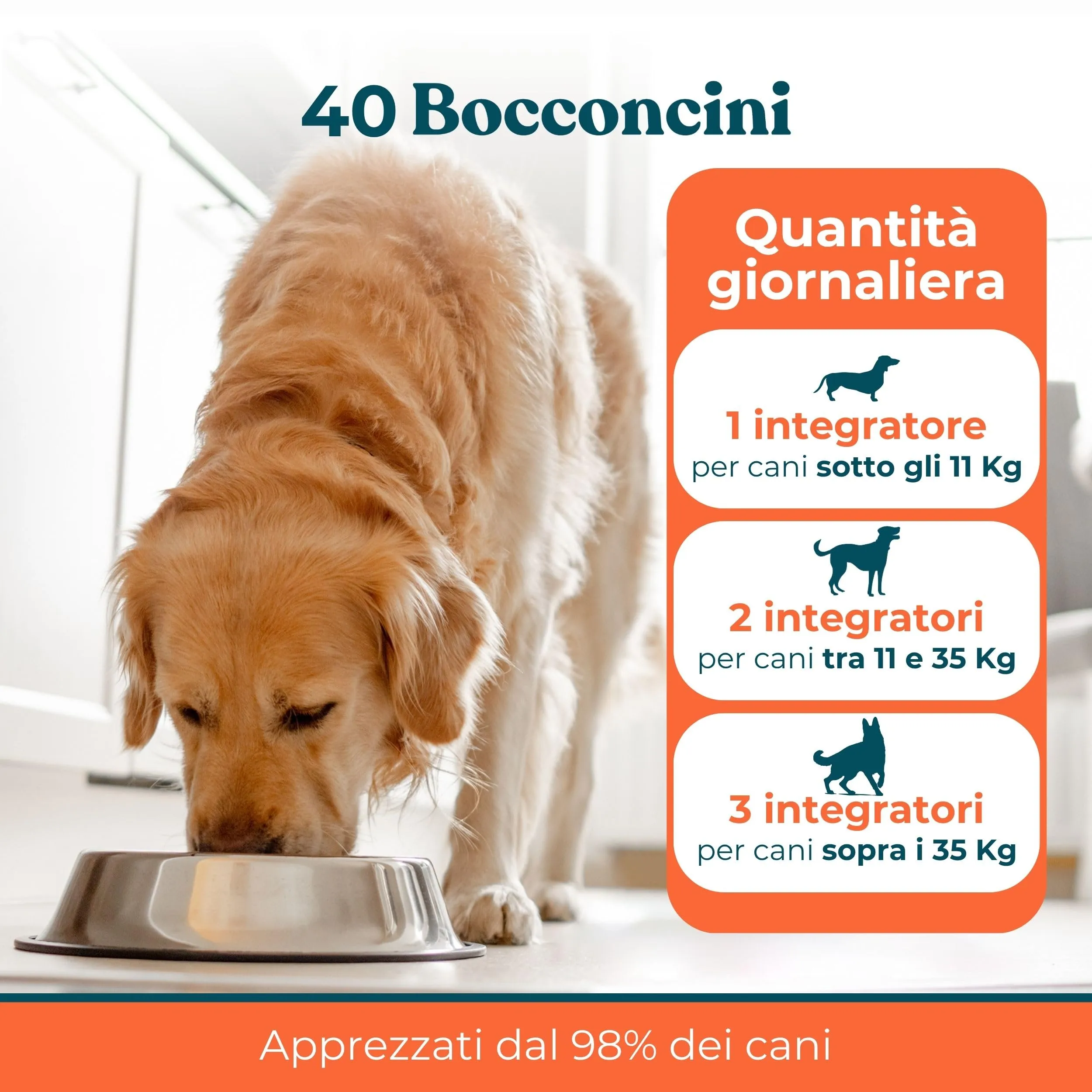 IntegroPet Ossa e Articolazioni per Cani, Integratore con Glucosamina, MSM, Collagene e Curcuma - 40 Bocconcini - immagine 5