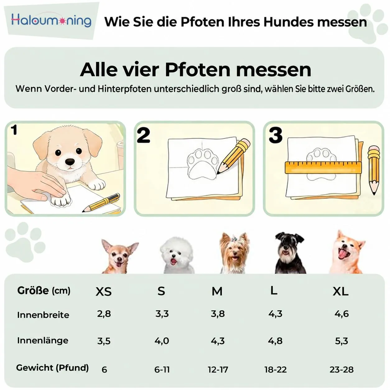 Haloumoning Scarpe antiscivolo per cani, suola robusta, Blu Lago, S - immagine 3
