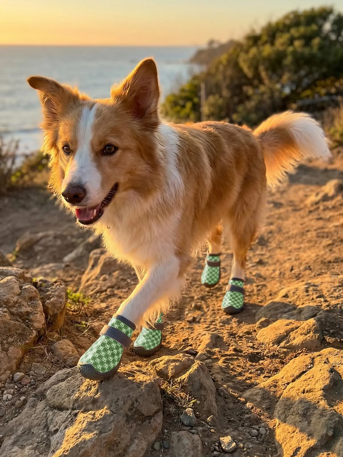 Haloumoning Scarpe Antiscivolo per Cani, Suola Robusta, Verde, L - immagine 6