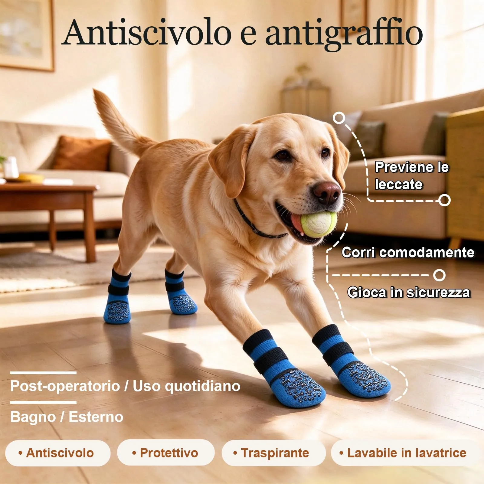 PETLOFT Calzini Antiscivolo per Cani, Prevengono Le Leccate e Graffi, Migliorano la Trazione, Adatti a Cani da Taglia Media a Grande, Regolabili con Gancio e Anello (M, Blu, Ossa Cartoon) - immagine 2