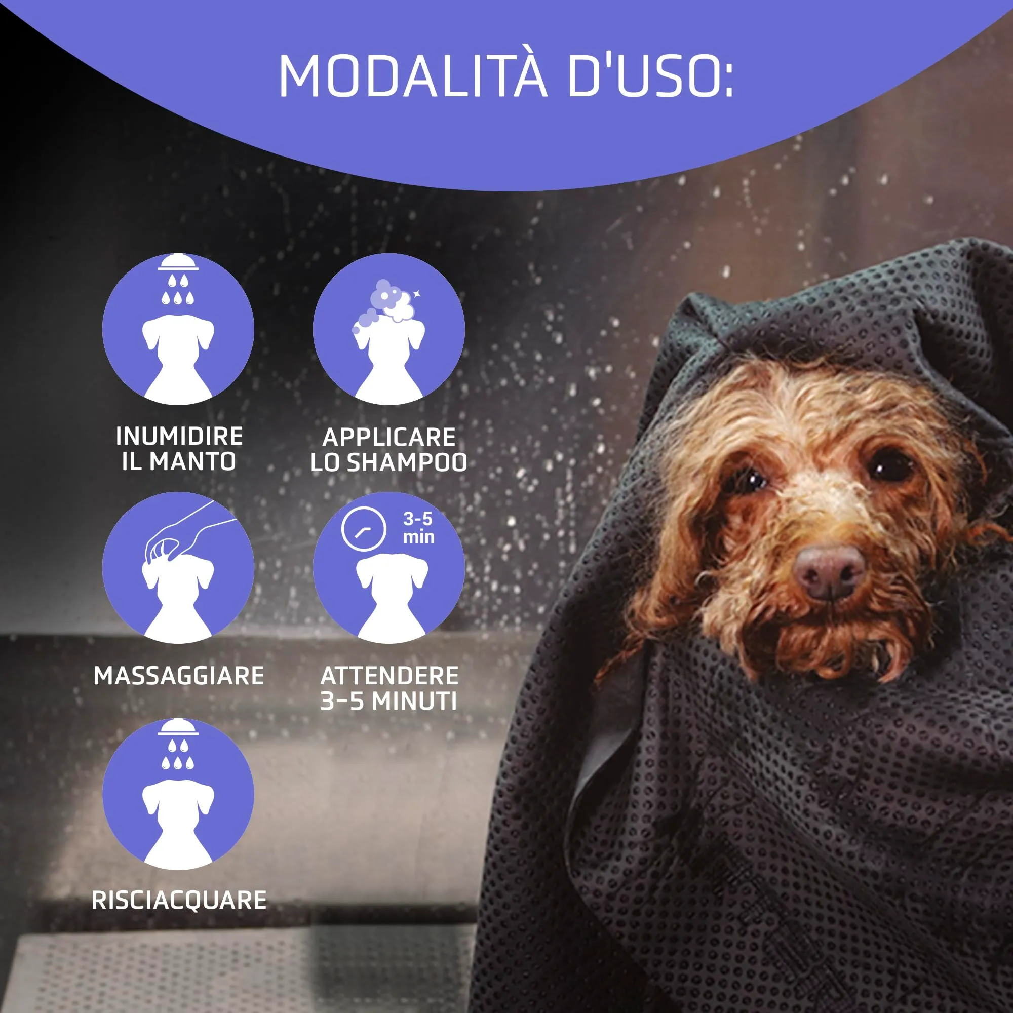 Artero Blanc. Shampoo sbiancante per cani dal pelo bianco. Ottieni un bianco brillante. Lucentezza, morbidezza e pulizia dalle radici alle punte. Adatto per cani neri, grigi e blu, intensificandone - immagine 4