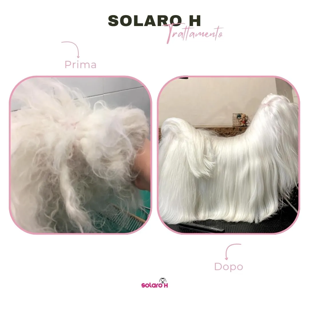 Solaro H | Balsamo per Cani e Gatti Guaina Potenziata, Districante, Nutriente per Manti Lunghi 250ml | Made in Italy - immagine 7