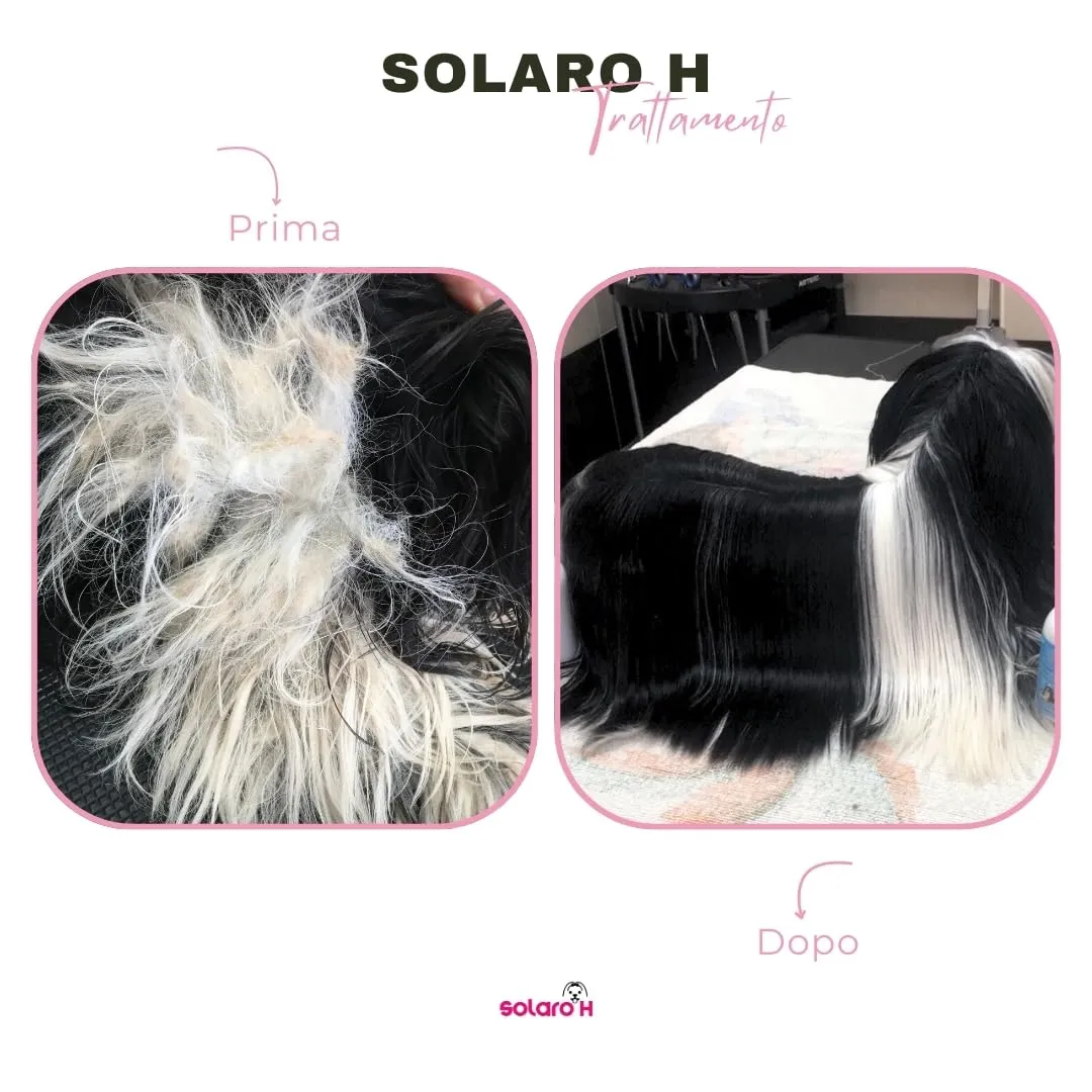 Solaro H | Balsamo per Cani e Gatti Guaina Potenziata, Districante, Nutriente per Manti Lunghi 250ml | Made in Italy - immagine 9