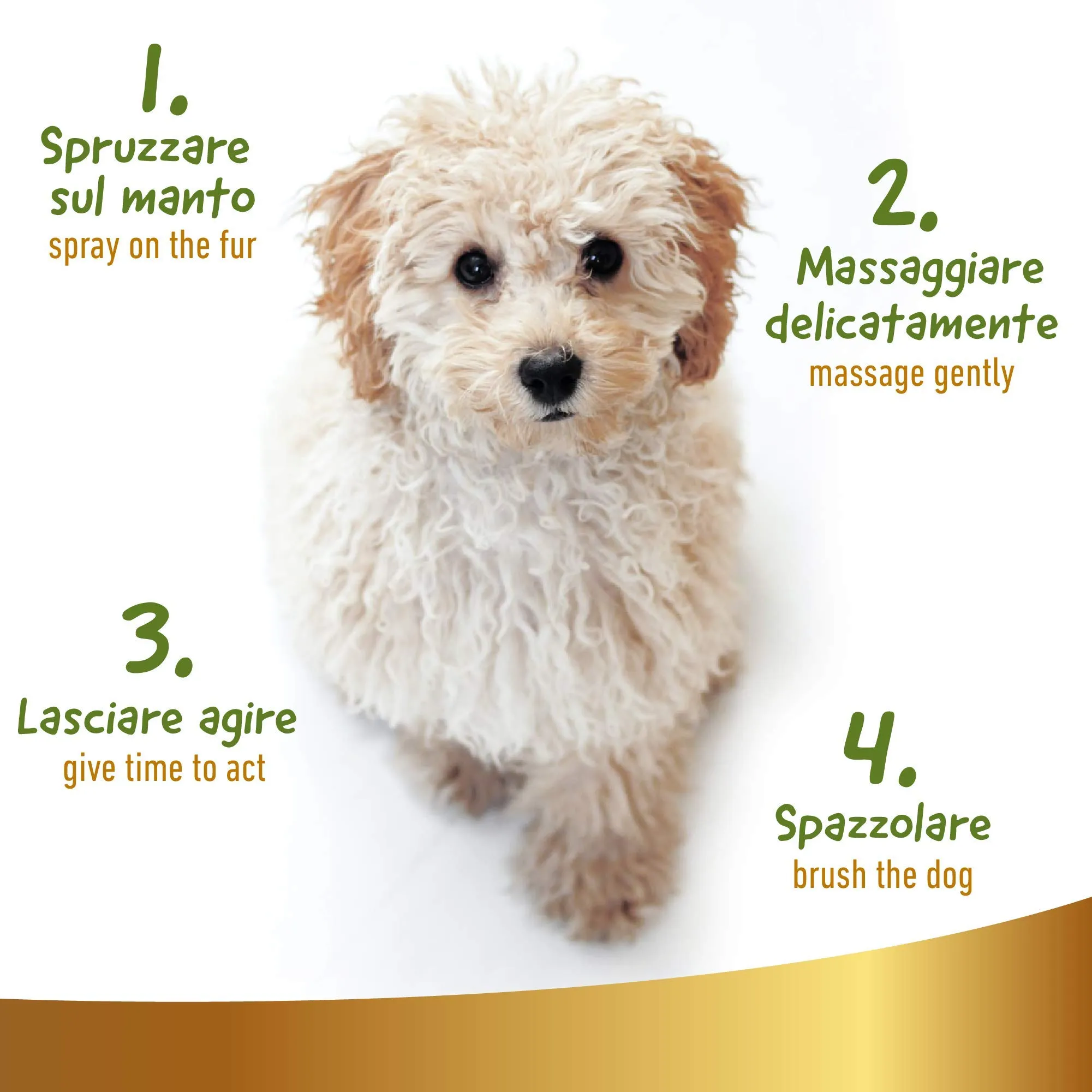 Linea 101, Spray Sciogli Nodi Pelo Cane Naturale per Tutti i Tipi di Pelo con Oli Vegetali, Mantello Morbido, Brillante e Sano, Districante Pelo Cane, 250ml, Made in Italy - immagine 5