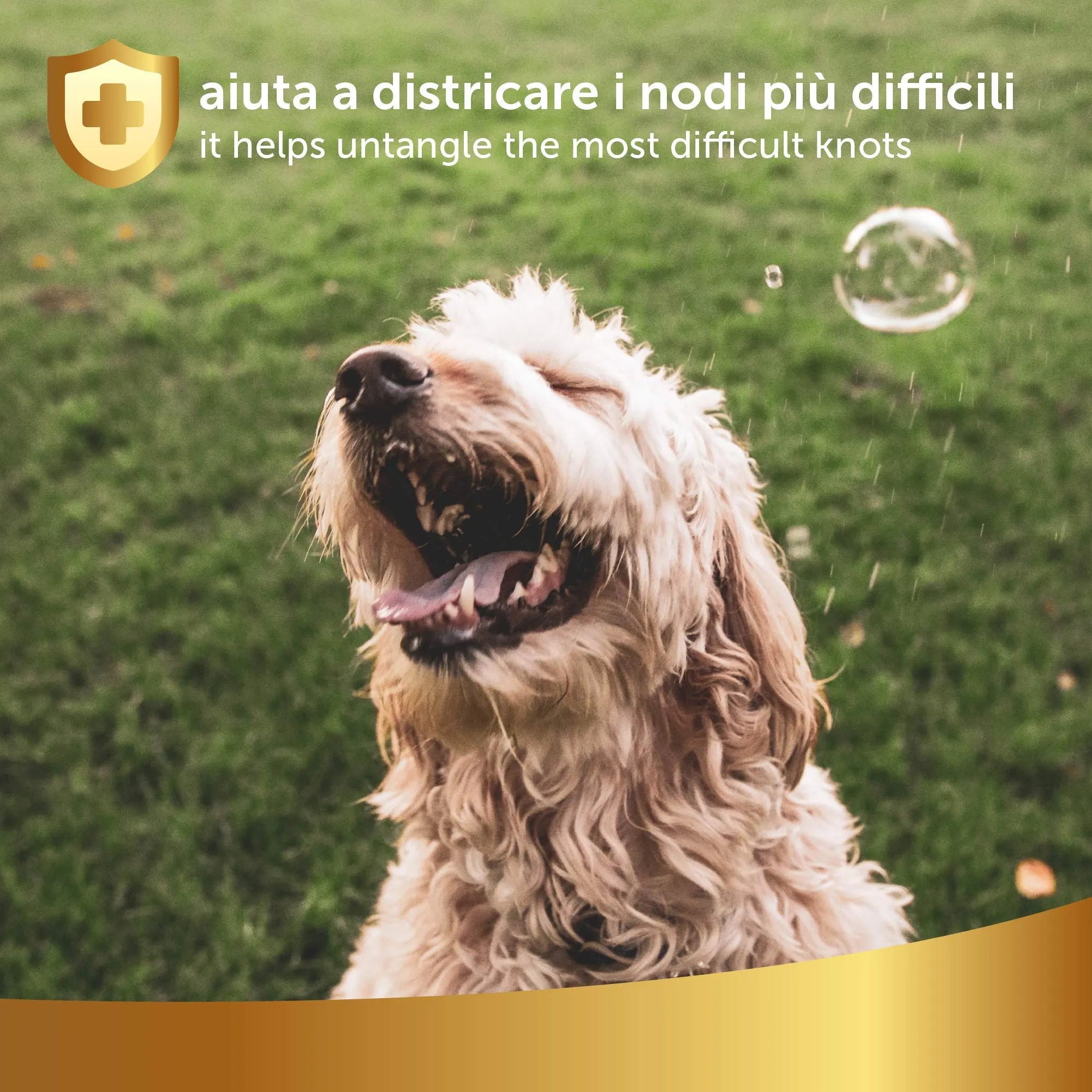 Linea 101, Spray Sciogli Nodi Pelo Cane Naturale per Tutti i Tipi di Pelo con Oli Vegetali, Mantello Morbido, Brillante e Sano, Districante Pelo Cane, 250ml, Made in Italy - immagine 7