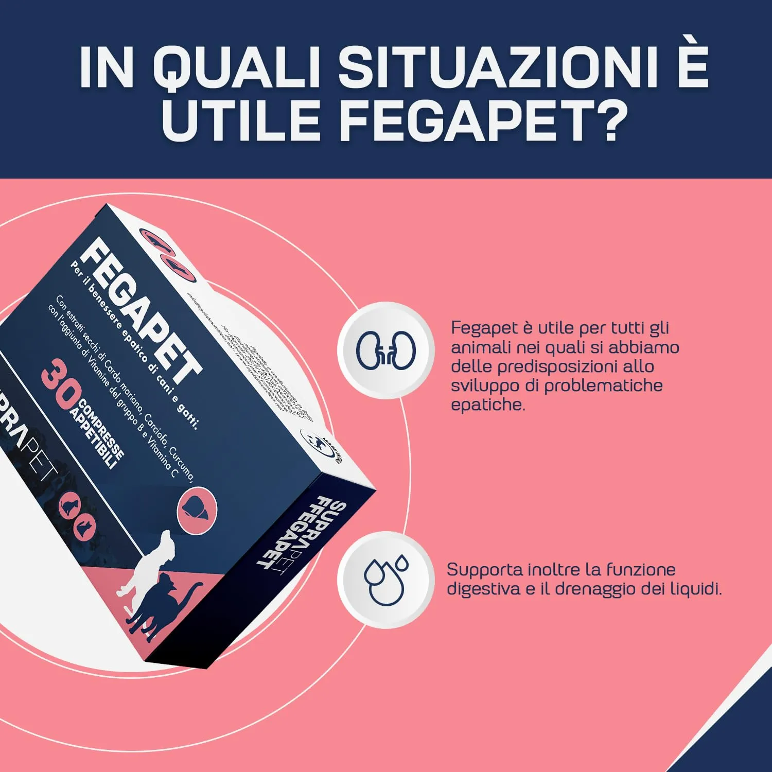 Suprapet Fegapet Cani e Gatti Supporto per il Fegato 60 compresse - Mangime per Funzioni Epato-Biliari con Vitamine, Cardo Mariano, Carciofo, Curcuma, Lespedeza (60 Unità (Confezione da 2)) - immagine 4