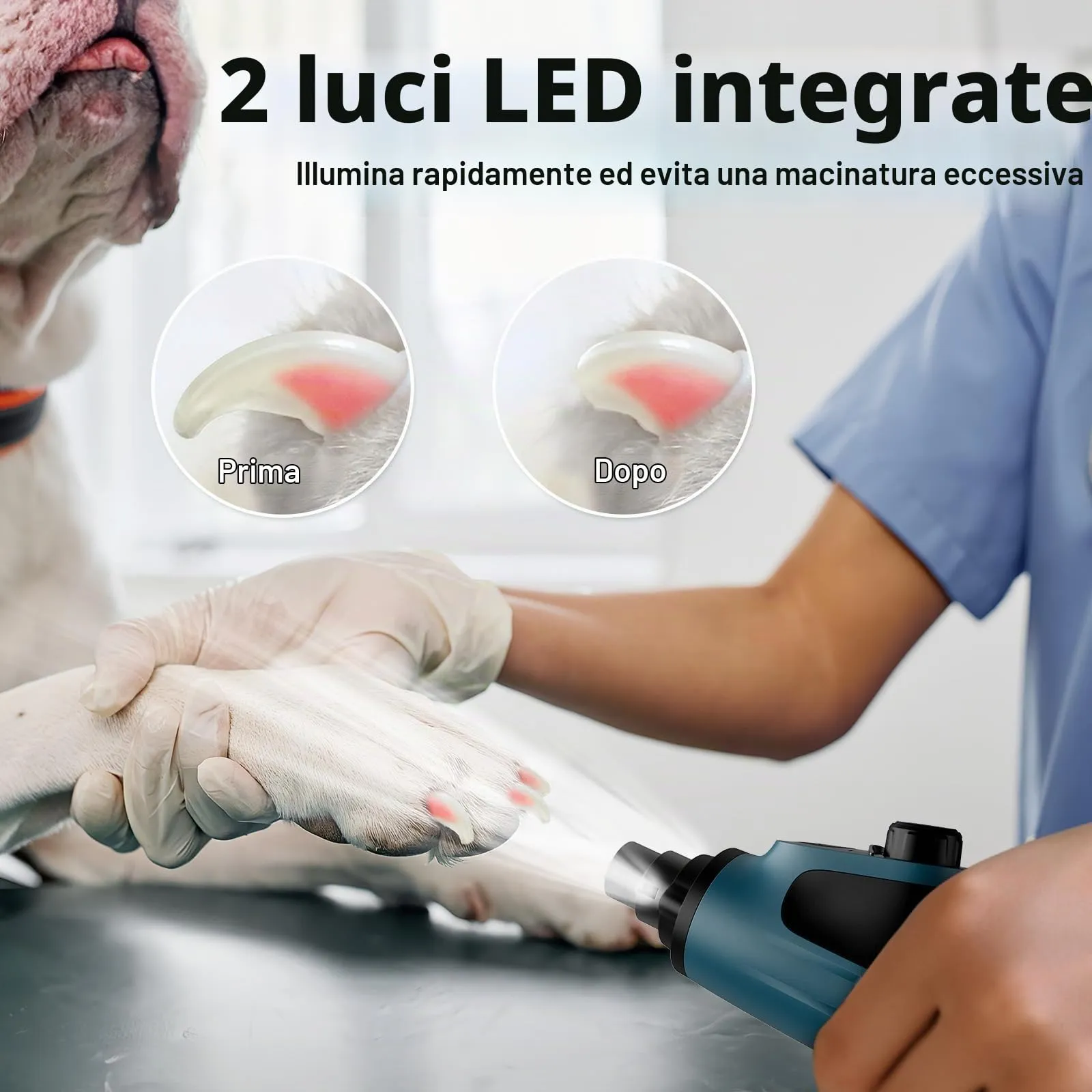 Casfuy Smart - Lima per unghie per cani a 6 velocità, con il 50% di potenza in più, lima per unghie per animali domestici con 2 luci LED, silenziosa, ricaricabile, elettrica, per unghie di cani e - immagine 5