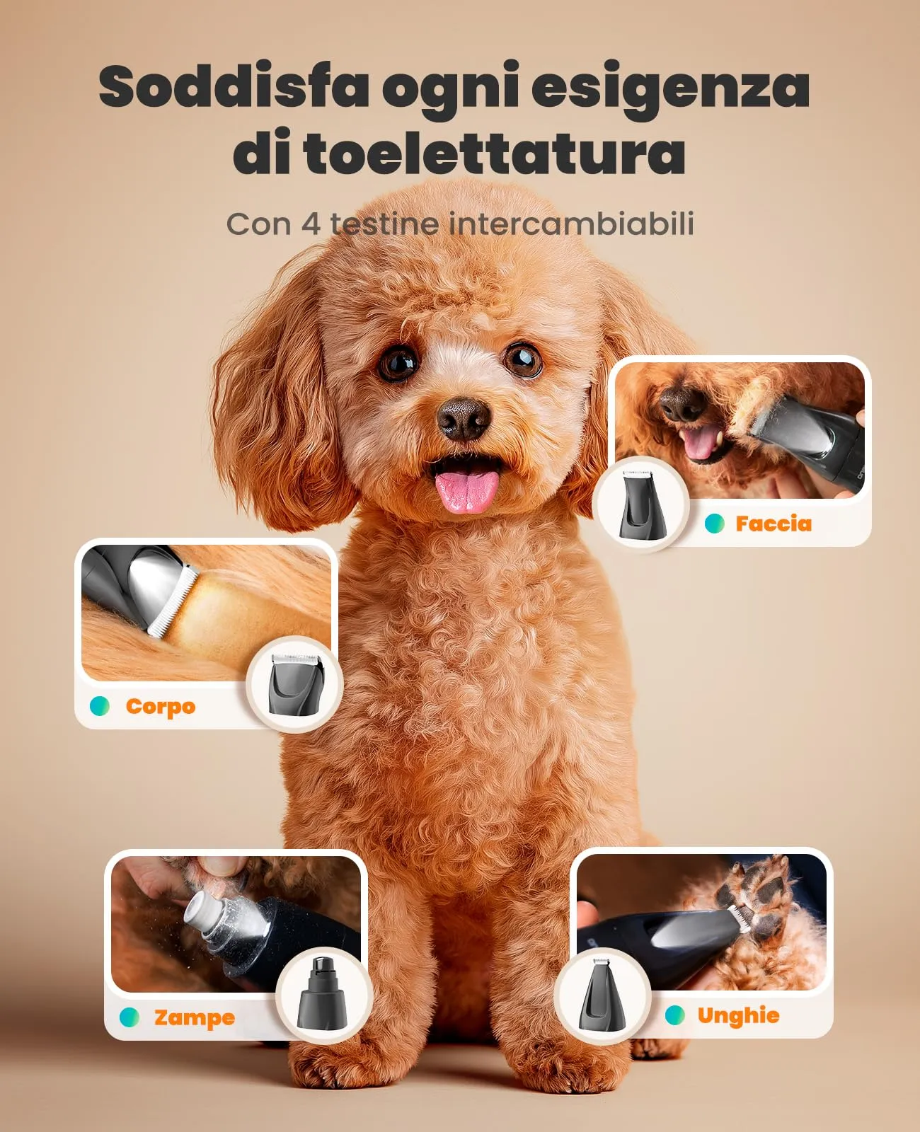 oneisall 4 in 1 Tosatrice per Cane Gatto con Luce LED, 2025 Nuova Versione Cura Peli Animali per Rasoio Cani & Zampe & Smerigliatrice Artiglio, 2000mAh Ricaricabile Rasoio per Cani (Blau, 4-in-1) - immagine 4