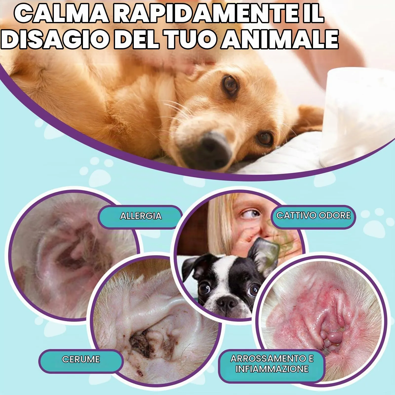 Pulizia Orecchies Cane, Polvere per la depilazione, Pulitore Orecchie Canes - immagine 4