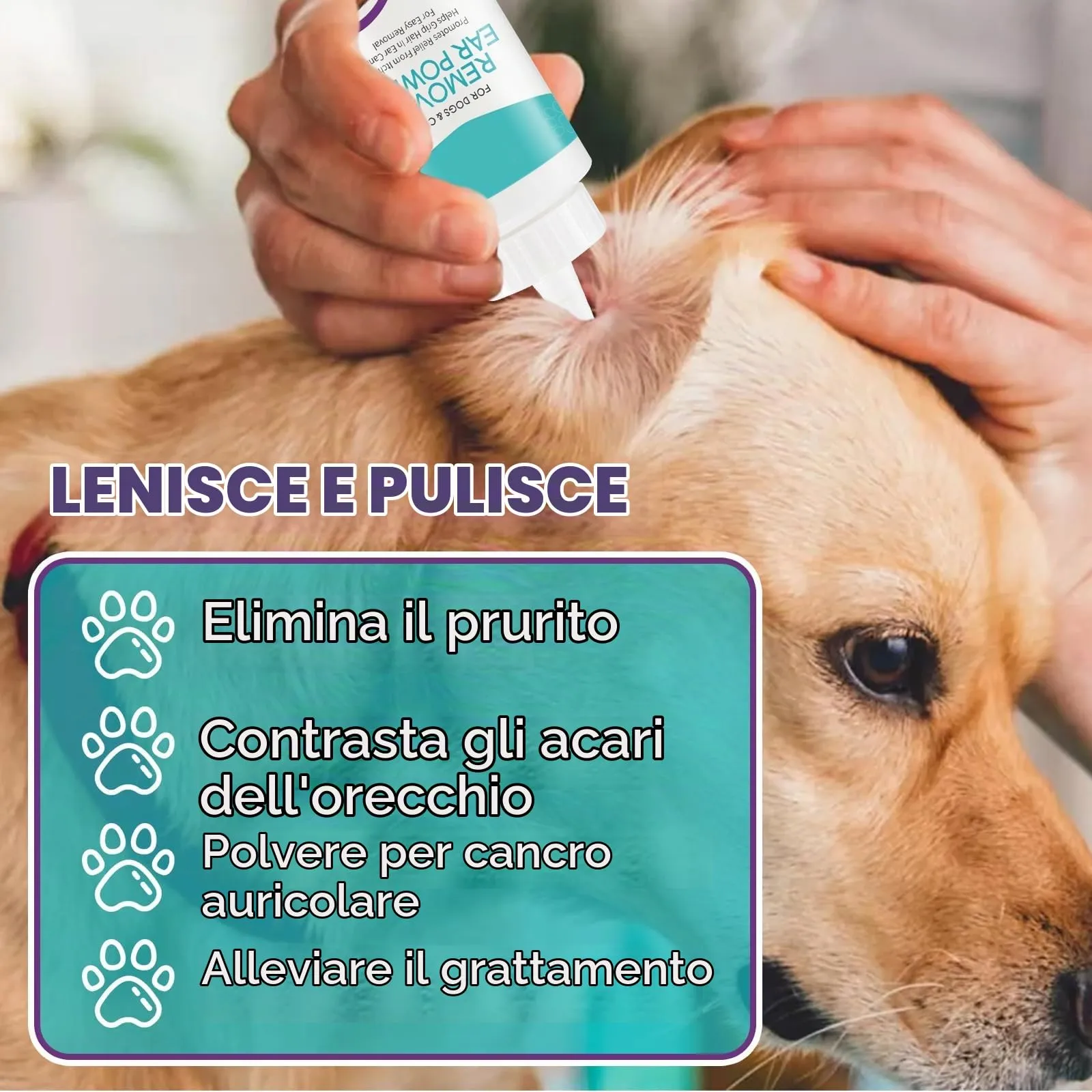 Pulizia Orecchies Cane, Polvere per la depilazione, Pulitore Orecchie Canes - immagine 6