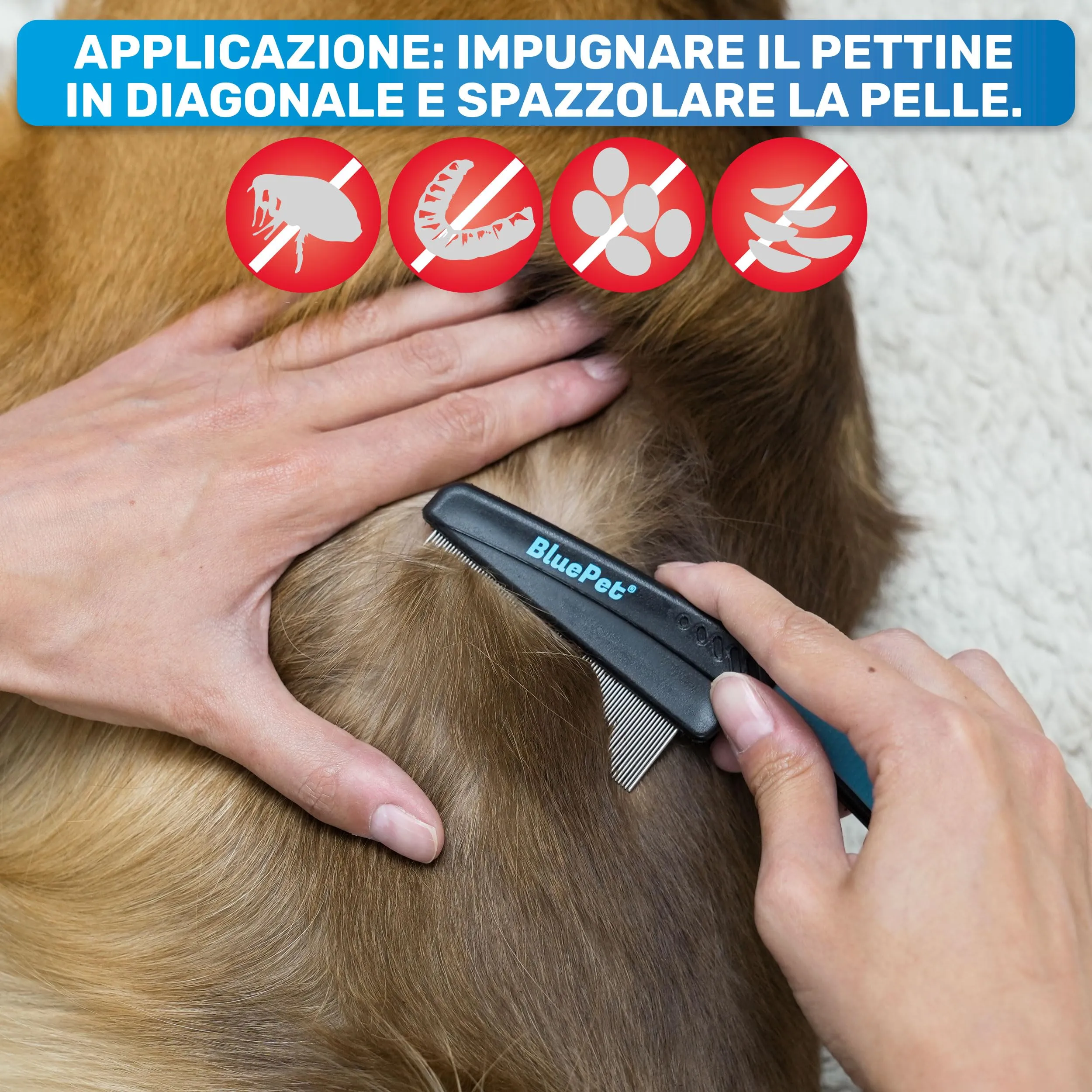BluePet Pettine Antipulci scheda antipulci, Anti Pidocchi, Rimuovere Pulci - immagine 3